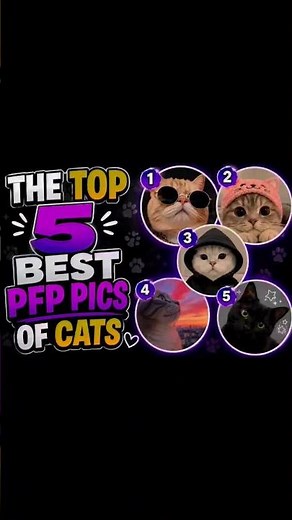 Top 5 best pfp of cats #cat #funny #shorts