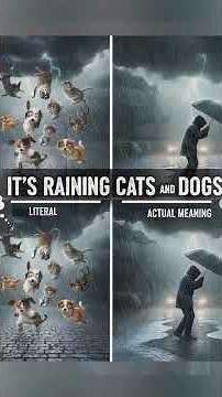 Subtitling right the 'rekhs' way | Rekhs Subtitlist |