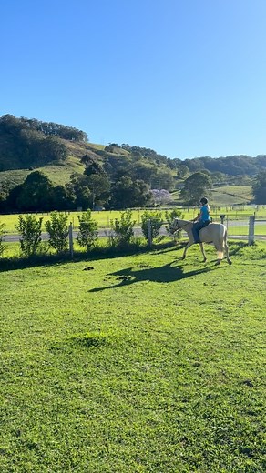 So good Aisha and Sunny 👌🏻♥️🐴 Sunny and Aisha had their first Canter focused session today and plenty of trot focused work. Also started trotting over raised poles and couple of baby jumps. Look at you go Sunny. So good. Well done Aisha you have definitely won Sunny’s heart 🙌 #horselife #riding #sessions #lessons #coaching #development #coffsharbour #nsw #lovewhatyoudo #keeponstriving | Justin Lamb