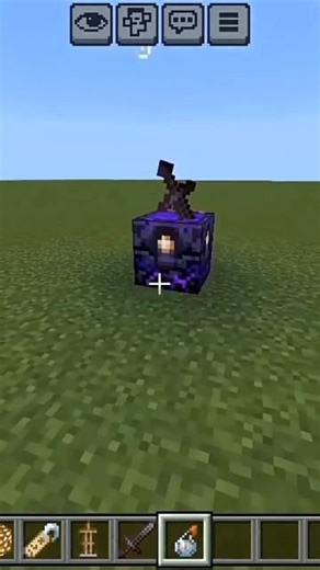 Minecraft TikTok Build Hack #shorts