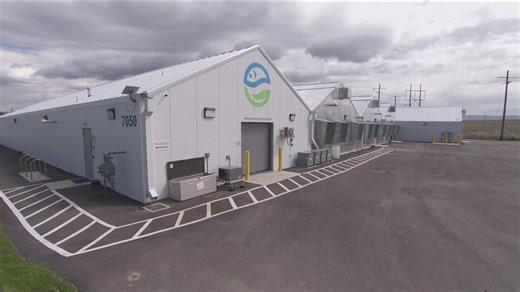 Inside Ag: Idaho's year-round farm uses water and fish to produce food