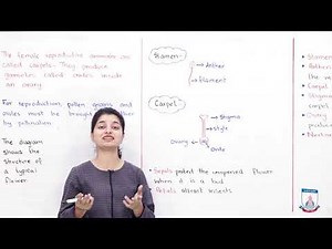 Class 8 - Science - Chapter 02 - Lecture 1 Reproduction in Plants - Allied Schools