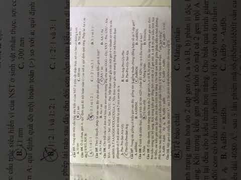 Biology 12 - Midterm Exam 1