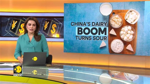 China faces glut of unwanted dairy