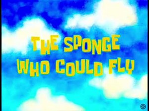The Sponge Who Could Fly vhs