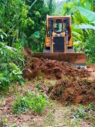 Bulldozer creates a new road