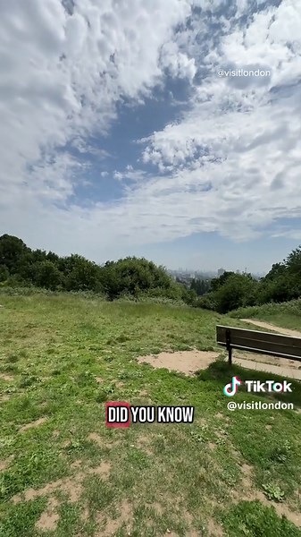Soak Up the Stunning Views from Parliament Hill, London