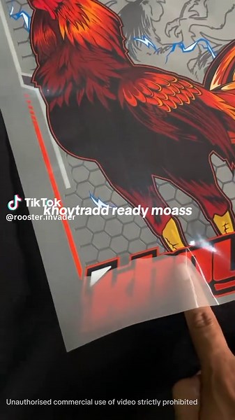 Exploring Khoytrad Chicken Breeds