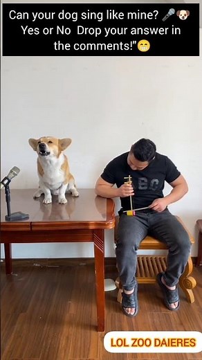 Dog Singing Like a Pro 😍🎤 | Cutest Singing Dog Video Ever!