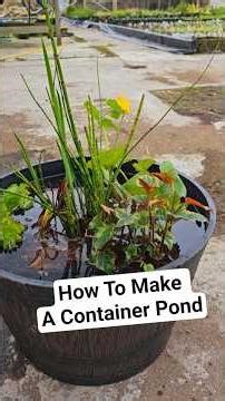 How To Make A Container Pond