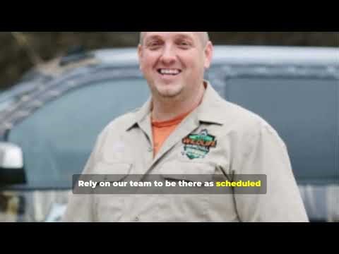 Raccoon Removal Near Me Madison