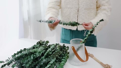 10 Pcs Dried Eucalyptus Stems 17" Real Eucalyptus for Shower Hanging 100% Made from Fresh Leaves, Wedding, Home, Farmhouse, DIY Spring Decor Bathroom Decor Home Decor