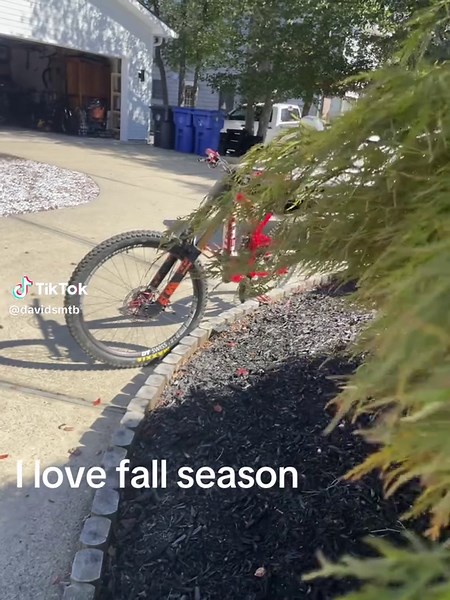 Fall Mountain Biking Adventures: Embrace the Season