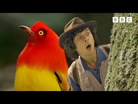 Finding BIZARRE Animals! | Andy's Safari Adventures | Andy's Amazing Adventures
