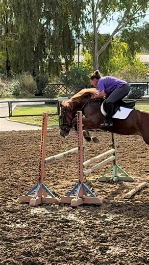 #fy #ιππασια #viral #horsegirl #mpesfy @Panos Volos @μαρθα @Thalia_theodwrou🎀 @margaritaa