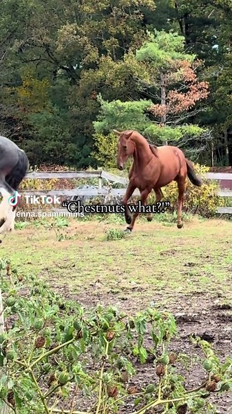 Roasting My Friend for Their Bad Skills