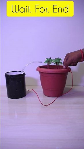 Automatic Water Irrigation Project, Smart Farming Project