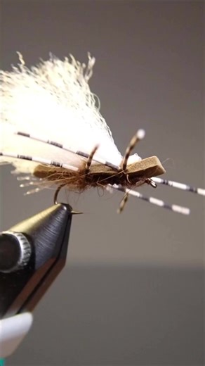 This Dry Fly WORKS! 50 State Challenge #flyfishing #flytyingjunkie #flytying #fishing #trout