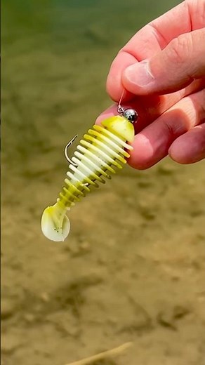 The Moondog 2.8” Swim Gill has some great tail thumping action to it! #fishing