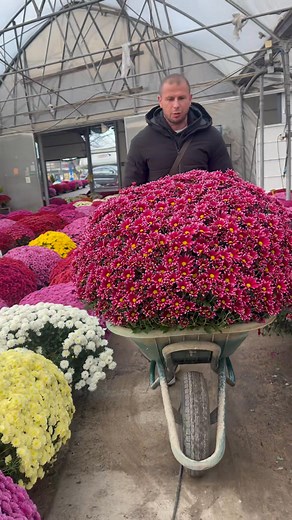 Dmitri Cebotari on Reels