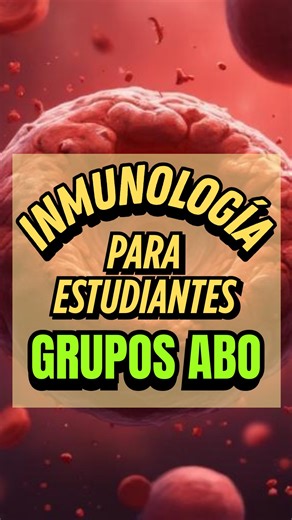 🤔 No sé a ti, pero en mi caso en la universidad me pedían más memorizar que realmente entender 🧠📚. Y cuando cambias la forma de estudiar de memorizar a analizar , empiezas a entender en vez de solo repetir datos, te das cuenta de la belleza real de la medicina ✨. Los grupos ABO casi siempre se enseñan de memoria, pero hoy quiero que recuerdes algo para que nunca más dependas solo de eso: Cuando transfundes sangre, piensa en esto 🩸: – ¿Qué tipo es el donante? – ¿Qué tipo es el receptor? – ¿Qu