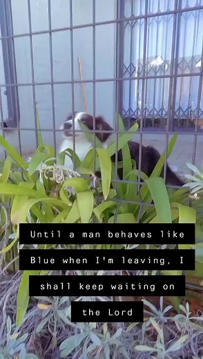 Helen K Mbweku on TikTok