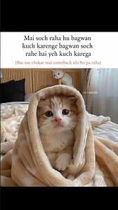 Comeback 😂 #memes #popular #viral #funnymemes #tweetreels #explore