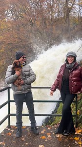 Ursula Bervoets on Reels