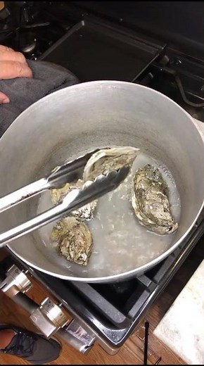 Steam Oysters At Home On The Stove | How To Cook Oysters 😋👍 🔥 #oysters