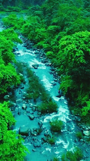 World’s Most Relaxing Nature Scene 😍 #youtubeshorts #nature #beautiful