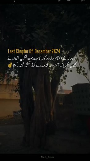 CapCut Tips for Managing Account Issues