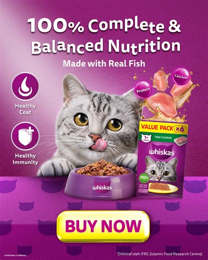 More bites, more purrs - give your cat delicious and nutritious meals without spending more | Whiskas Philippines