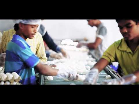 How Gartech Is Revolutionizing Poultry Farming with Automation