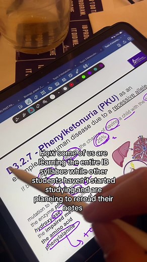 Study Smart for IB Exams: Efficient Strategies