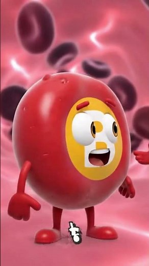 Understanding Blood Types: A, B, AB, and O Explained