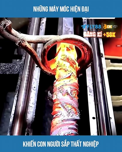 Review cuộc sống | •1997•