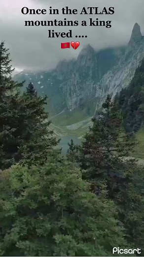 Holocene Extinction sur TikTok