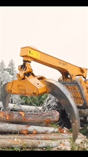 Caterpillar Logging Machine in Action