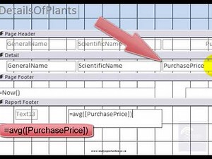 Final Video PAT Phase 2 : Calculations in Report Footer