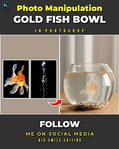 84K views · 1.7K reactions | Gold Fish in a Fish Bowl - Photo Manipulation in Adobe Photoshop #Photoshop #Photoshoptutorial #BigSmileEditing | Big Smile Editing | Facebook