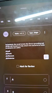 In bacteria, the small bristle-like fibres sprouting out of the... | Filo