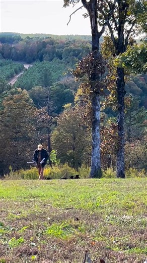 The hills are alive with the sound of puppies. | Cajun Giants