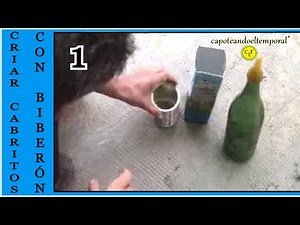 HOW TO BOTTLE FEED GOATS (Part 1)