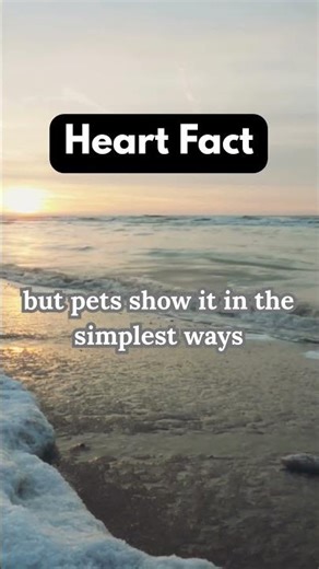 The Science of Loneliness | Heart Fact: How Caring Reconnects Us #psychologyfacts