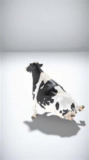 Realistic Black and White Cow Model