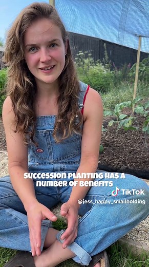 Maximize Your Garden Yields with Succession Planting