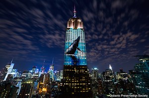Racing Extinction, el documental de Louie Psihoyos para evitar la extinción animal