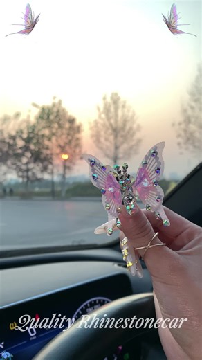 Stunning Butterfly Car Decorations
