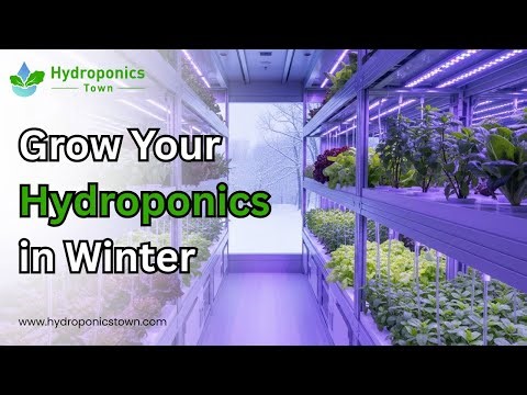 How to Maintain a Thriving Hydroponic Garden in Winter - HydroponicsTown
