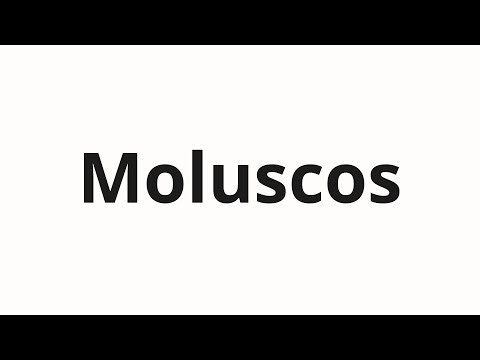 How to pronounce Moluscos